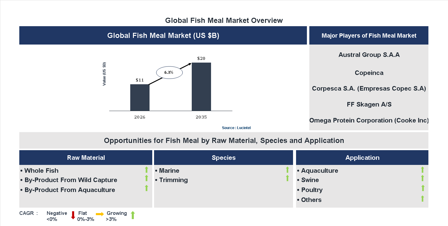 Fish Meal Market Trends and Forecast